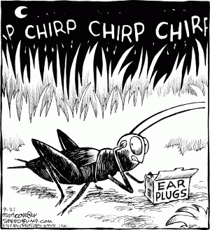 Crickets20chirpingjpg1