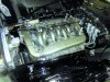 P1030214 (2).JPG