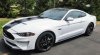 Mustang1