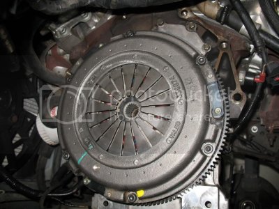 IMG 2737 IMG 2737