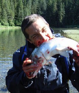 BGrylls