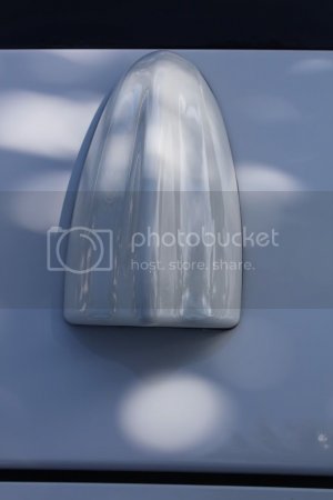 IMG 0256
