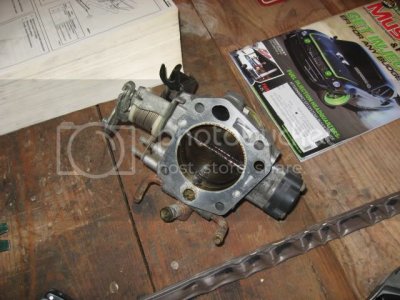 IMG 1260 IMG 1260