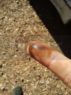 2012 01 20115813 2012 01 20115813
