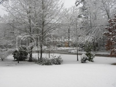 Snow007 Snow007