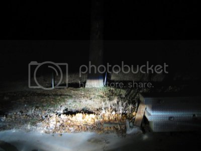 IMG 2194 IMG 2194