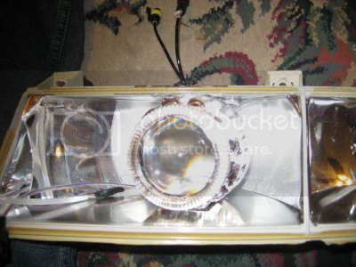 IMG 2206 IMG 2206