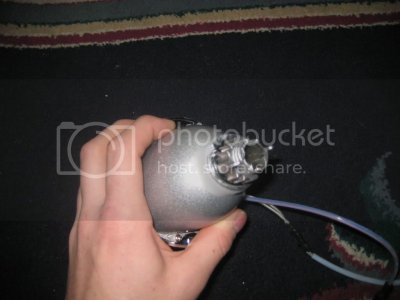 IMG 2198 IMG 2198
