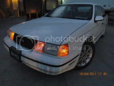 IMG 1675 IMG 1675