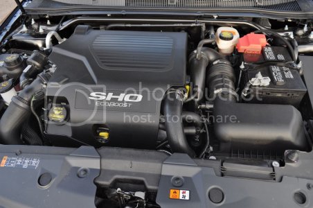 DSC 1371