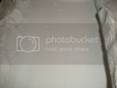 DSCN3691