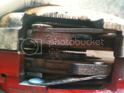 IMG 0146 IMG 0146