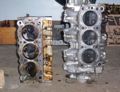 Head Comparison3