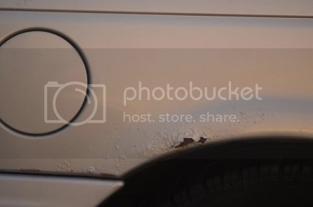 DSC 0252 zpscc762627