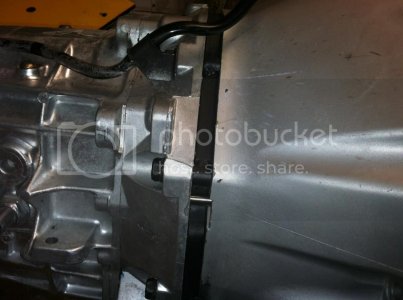 IMG 0036 IMG 0036