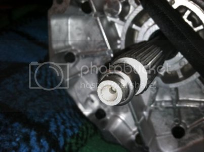 IMG 0033 IMG 0033