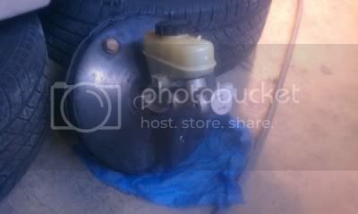 IMAG0435