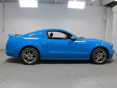Mustang small