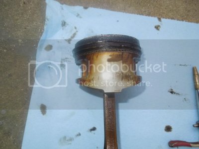 DSCN1846 zps1cad3ff0 DSCN1846 zps1cad3ff0