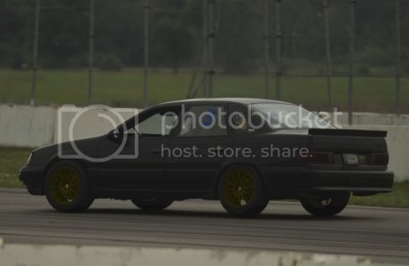 IMGP0378 gold 42 zps36f0b556