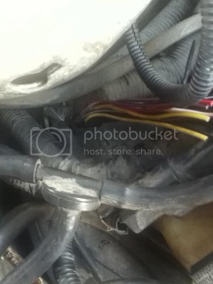 Photo2 zps2be207a3