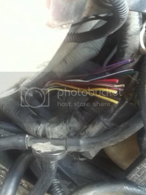 Photo1 zpsfc879f7e