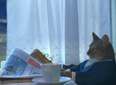 Sophiscated20cat