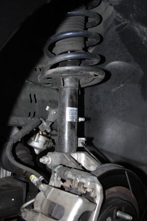 IMG 0705
