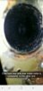 Screenshot 20190108 003647 Snapchat Screenshot 20190108 003647 Snapchat