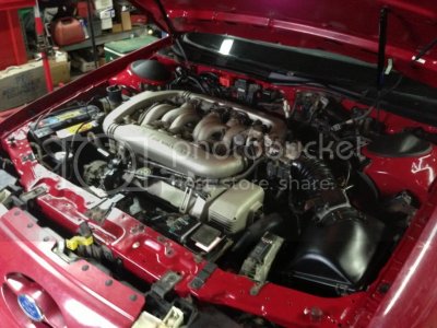 Photo8 zps3a4955cf Photo8 zps3a4955cf