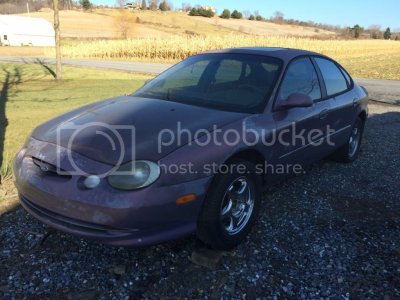 Rosemist20001 zpsid1bhprn
