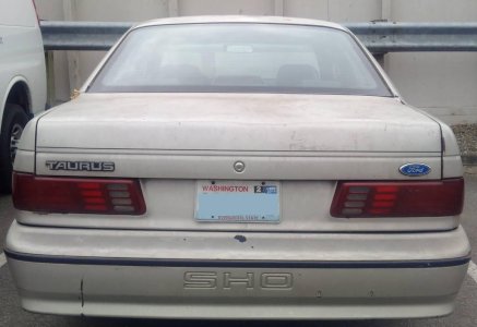 Sho sale rear Sho sale rear