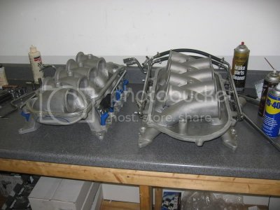2000 cobra r intake