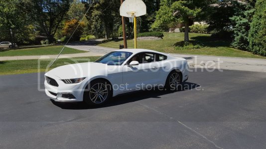 New20Mustang