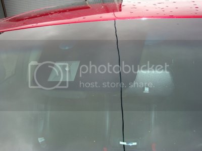 DSC04239