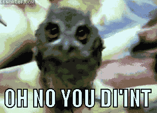 Giphy