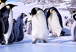 Anf013u8vg42661jpfdypzxxzfkm118zpmrjvr6bridgiphy