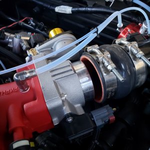 JsW8lJaUNyM61width1024height1024cropmodenone