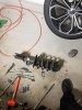 Stock Strut
