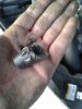 20190511_201054.jpg