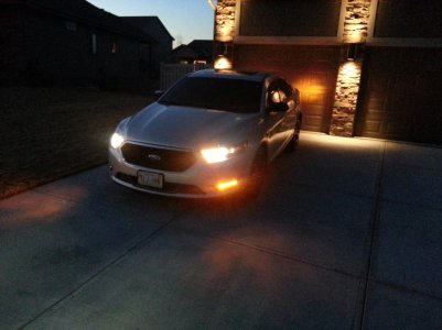 2014 Taurus SHO Amber Signal 2014 Taurus SHO Amber Signal