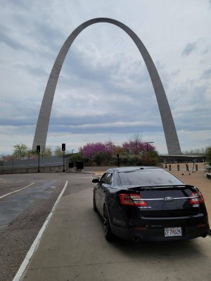 Cq5dSHP