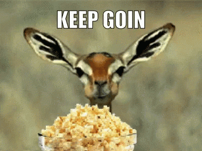 Giphy Giphy