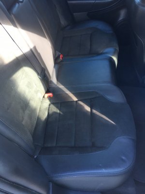 Taurus back seat 2 Taurus back seat 2