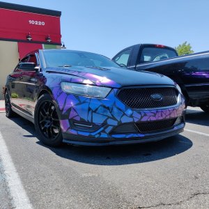 Burple SHO 5.jpg