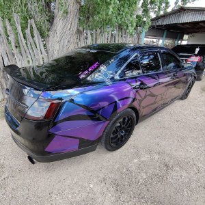 buRPLE SHO 3.jpg