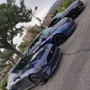 burple and boys2.jpg