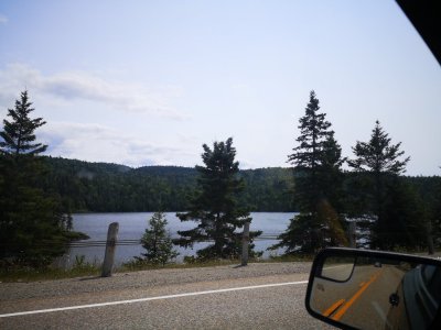 IMG_20210721_140724.jpg
