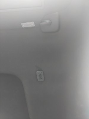 PXL_20210806_181304701.jpg