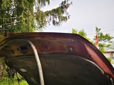 IMG_20210808_172234.jpg